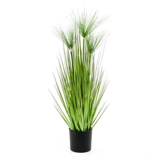 Emerald Konstväxt cyperus i kruka Haspan 75 cm