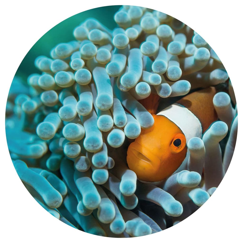 WallArt Tapet cirkelformad Nemo the Anemonefish 190 cm