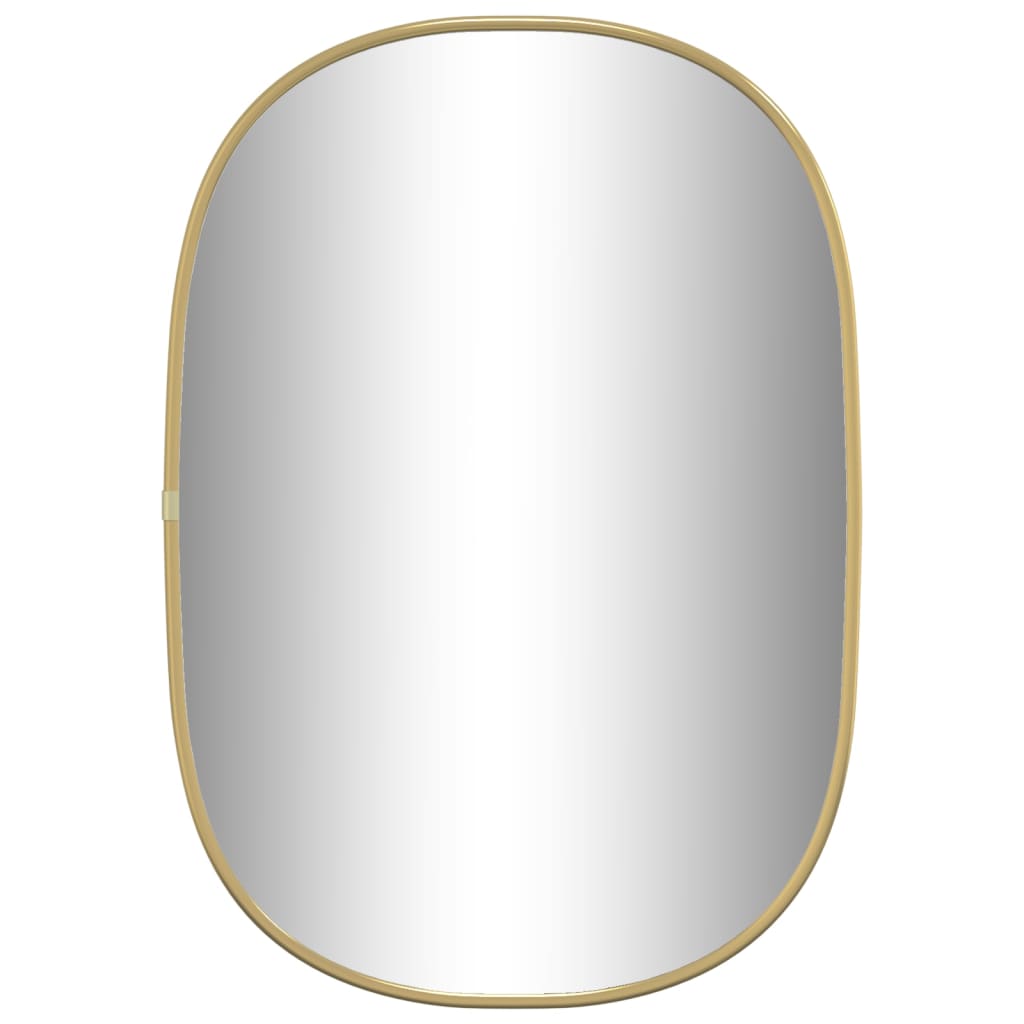 Väggspegel  50x20 cm oval